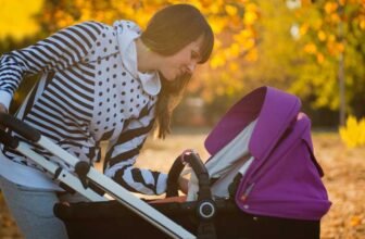 Which Luvlap Galaxy Stroller Is Fin...