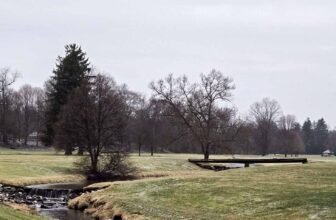 The Little Points E-newsletter #456...