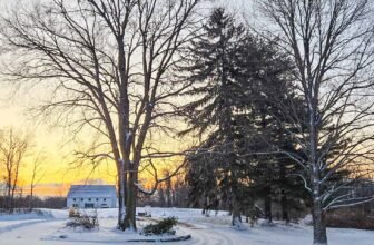 The Little Issues Publication #457 ...