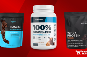Greatest Protein Powders for Weight...