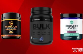 Strongest Pre-Exercise: The Finest ...