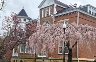 The Little Issues Publication #463 ...