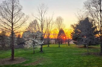 The Little Points Publication #464 ...