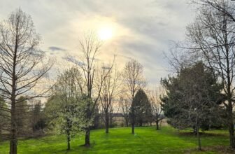 The Little Issues Publication #465 ...