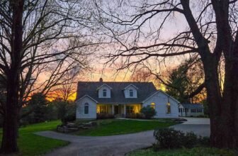 The Little Issues Publication #466 ...