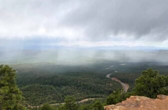 The Little Issues Publication #468 ...