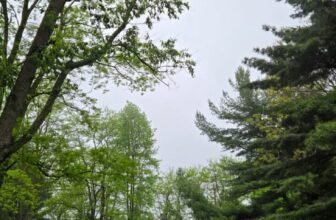 The Little Issues E-newsletter #469...