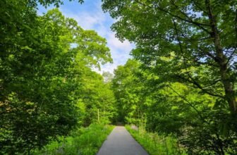 The Little Issues E-newsletter #471...