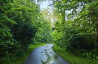 The Little Issues Publication #472 ...