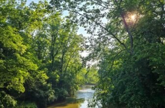 The Little Issues E-newsletter #473...