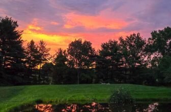 The Little Issues Publication #475 ...