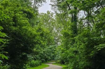 The Little Issues E-newsletter #477...