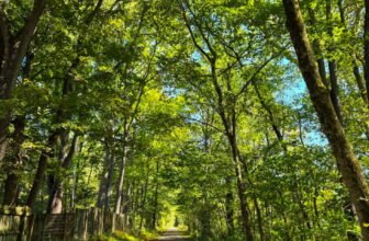 The Little Issues E-newsletter #489...