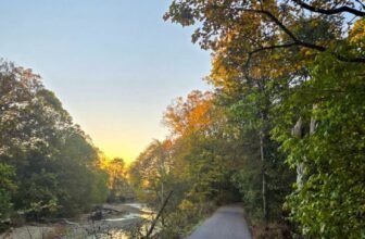 The Little Issues E-newsletter #491...