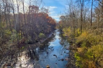 The Little Issues Publication #497 ...