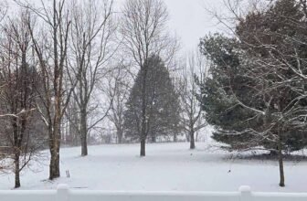 The Little Issues Publication #499 ...