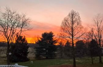 The Little Issues E-newsletter #501...