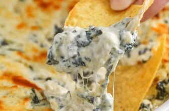 12 Finest Celebration Appetizer Dip...